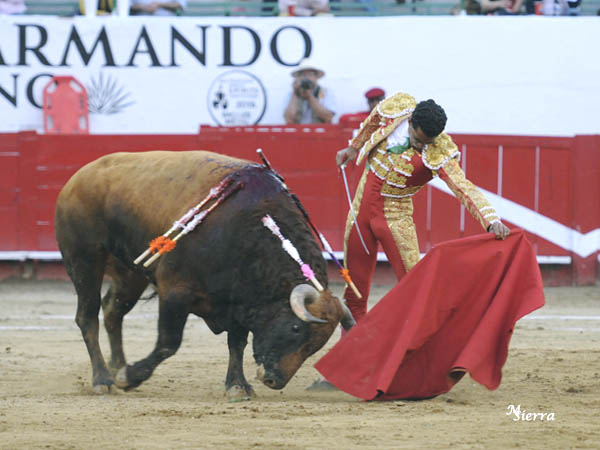 El pitn izquierdo del castao