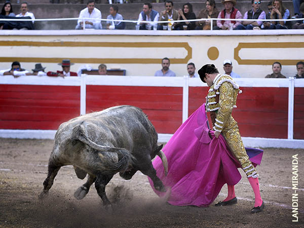 Saludo capotero