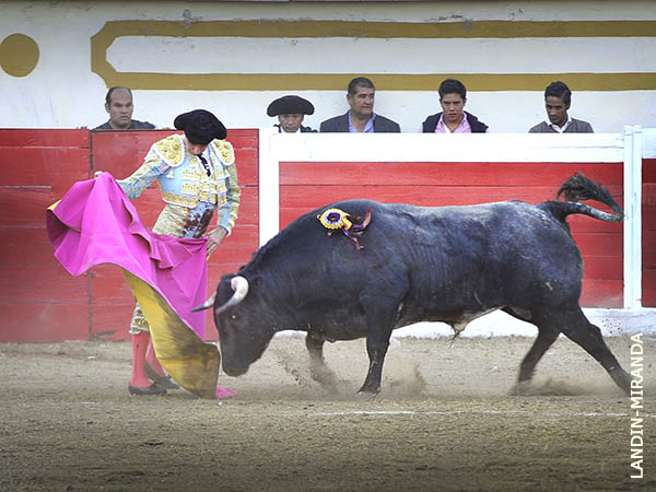 Vernicas valencianas