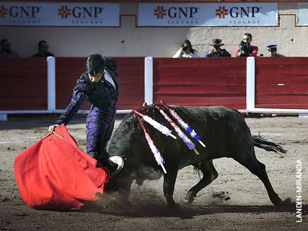 La faena en los medios