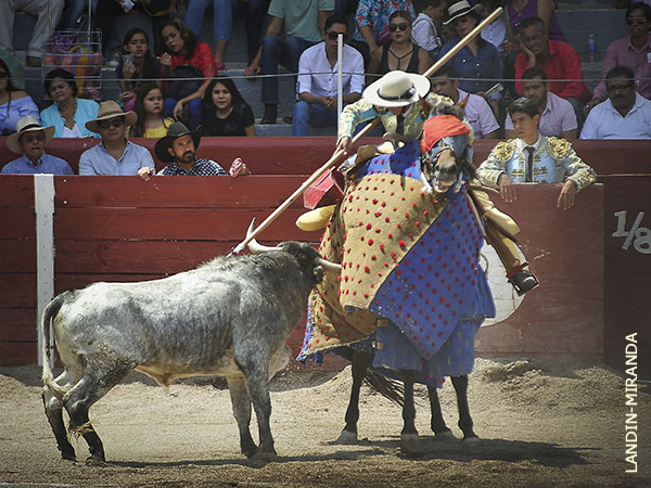 Debut de Miguelito Cobos, aspirante