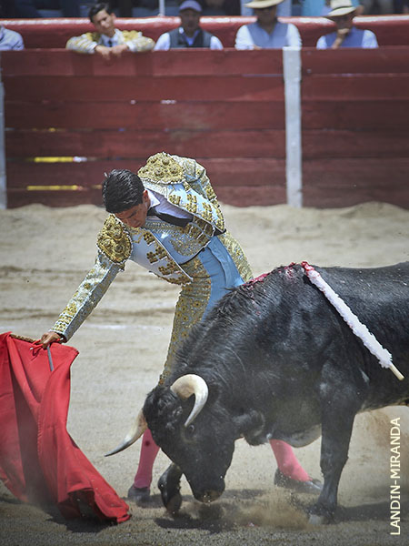 Pronto lo meti a la muleta