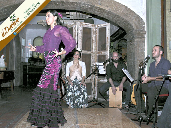 Msica y cante flamenco