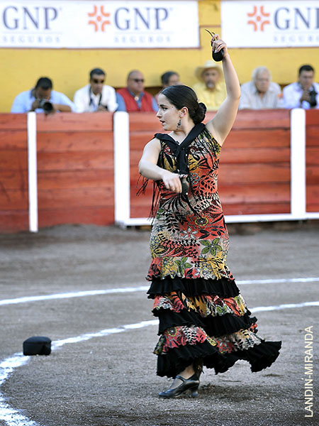Aperitivo de flamenco