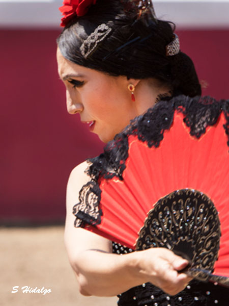 Espectculo flamenco