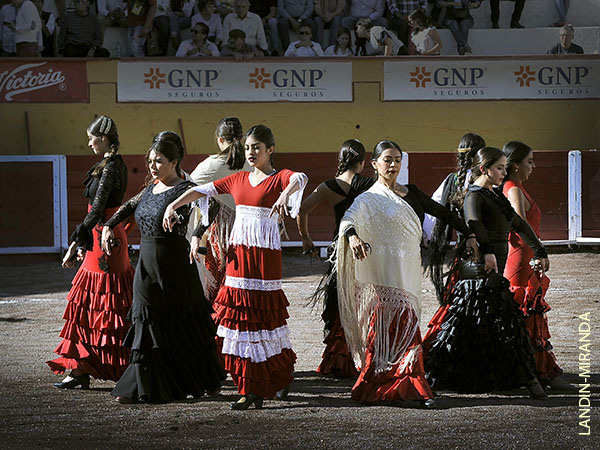 Prlogo flamenco