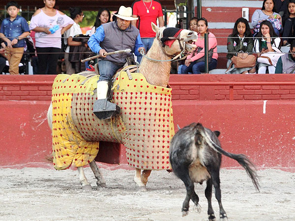 Paco Salinas en el caballo