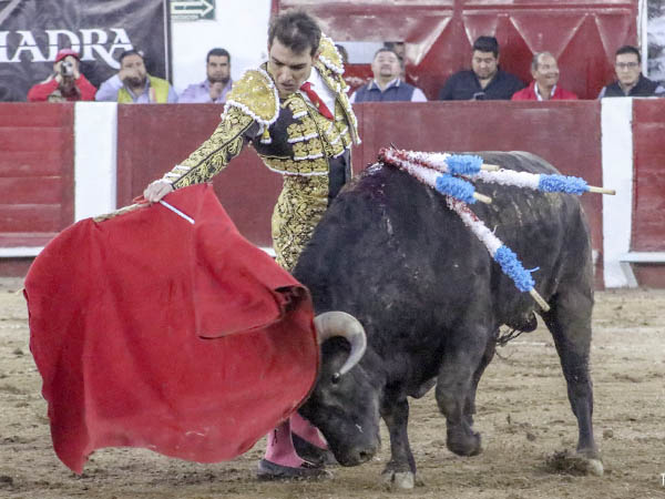 Arturo inicia el festejo