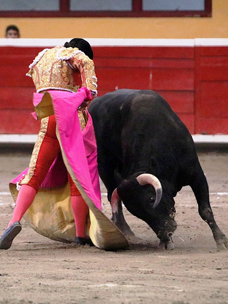 Leo Valadez en torero