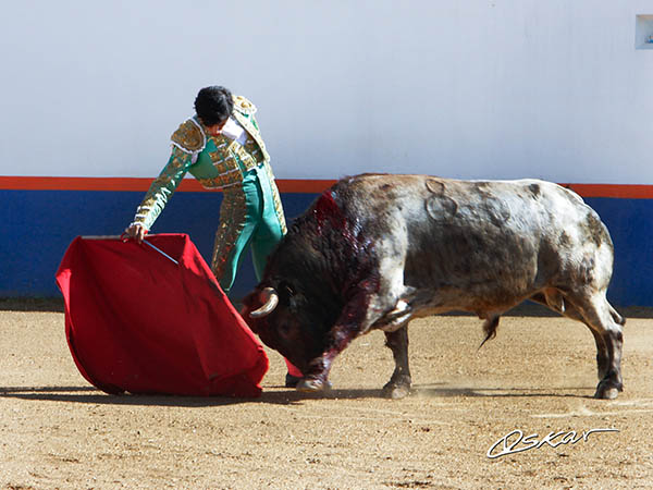 Responsabilizado para La Mxico