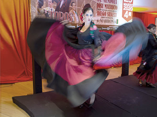 Entrems de flamenco