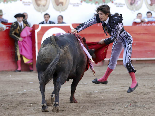 Partido en dos