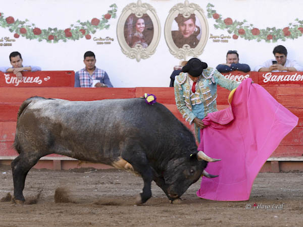 Saludo de Gerardo Rivera