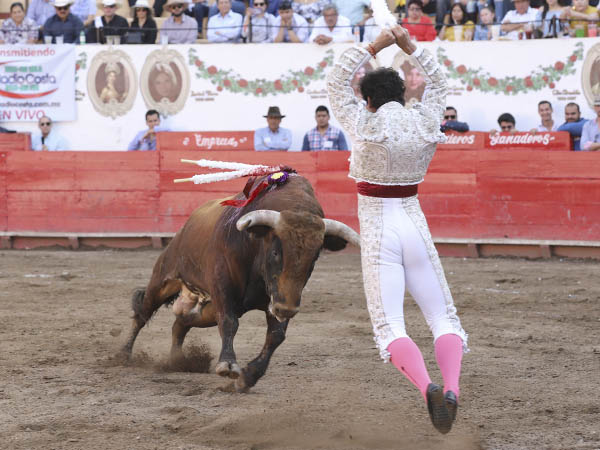 El vuelo de Leo