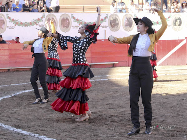 Probadita de flamenco