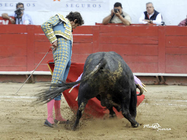 Conjuncin toro-torero