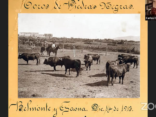 Para Belmonte y Gaona, en 1913