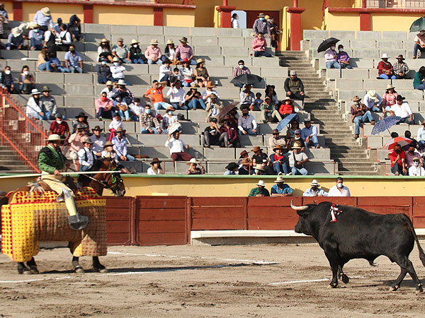 El toro de Zacatepec