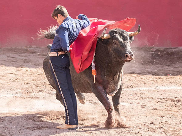 Sentida faena de Jos Miguel