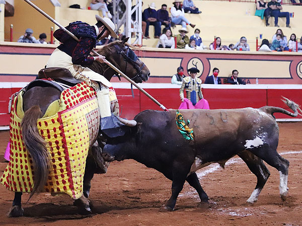 Empujaron fuerte en los caballos