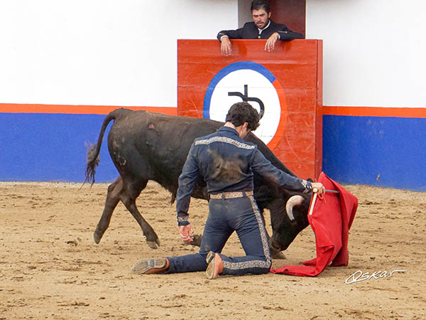 Bajo la mirada del matador