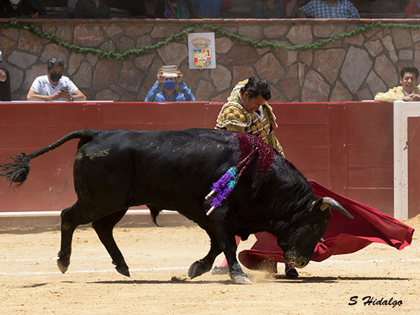 Destellos de gran clase