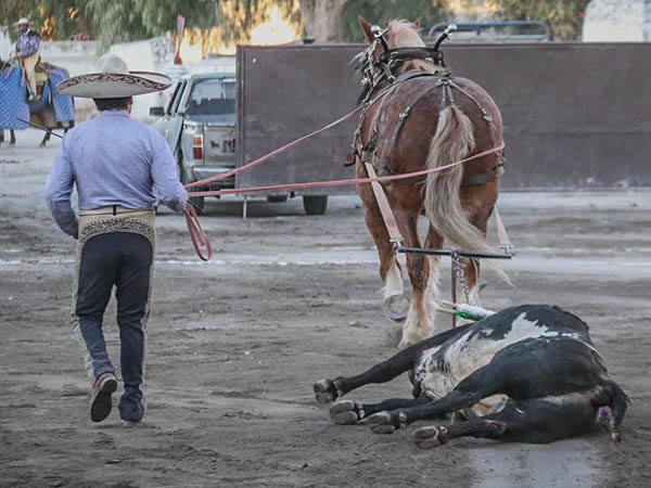 Vuelta y arrastre lento