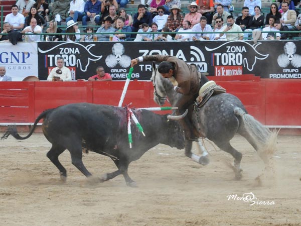 Carbonero torero