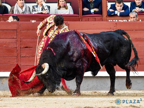 Detalles toreros de Luque en Madrid