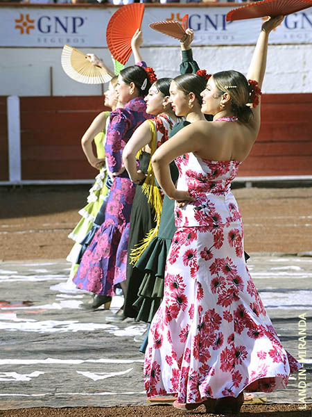 Apertitivo flamenco en la plaza