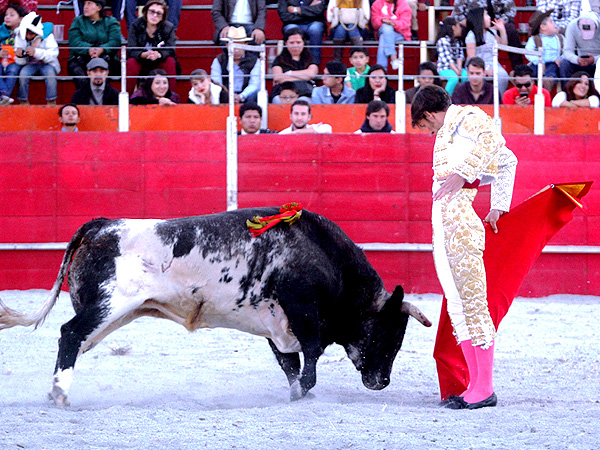 Quietud del sevillano