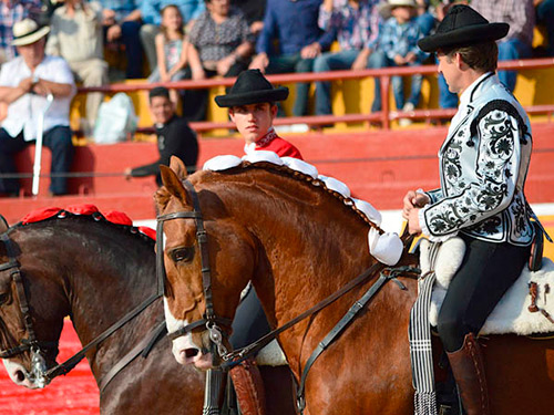 Pablo y Guillermo actuarán en Jalisco