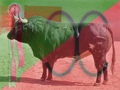 Los toros de Xajay para Guadalajara