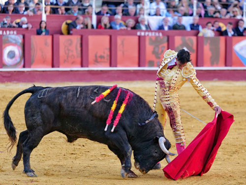Fortes luce al natural en M&aacute;laga