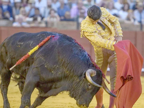 Esfuerzo de Aguado y barato triunfo de Roca Rey