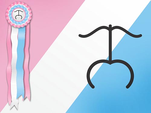 Rese&ntilde;an los toros de Jos&eacute; Barba en Aguascalientes