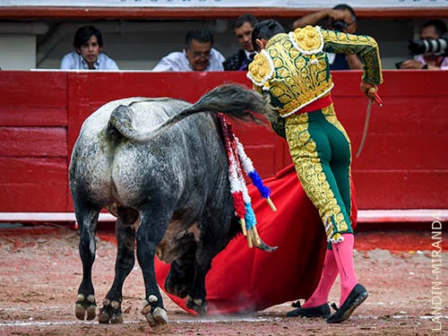 Brilla la clase de H&eacute;ctor Guti&eacute;rrez
