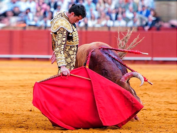 Daniel Luque hace valer su maestr&iacute;a