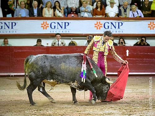 "Pude torear muy a gusto": Juan Pablo