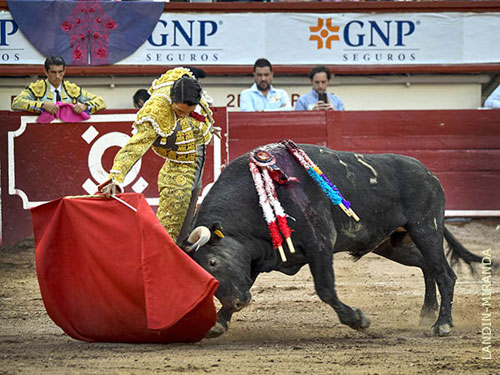 "Hay torero para rato": Sergio Flores