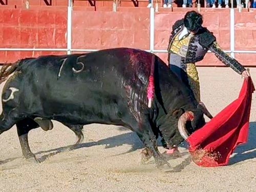 Solvente actuaci&oacute;n de Emiliano Ortega
