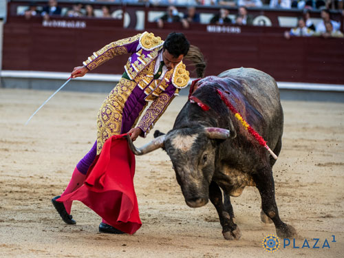La terna resuelve la mansa corrida de Saltillo