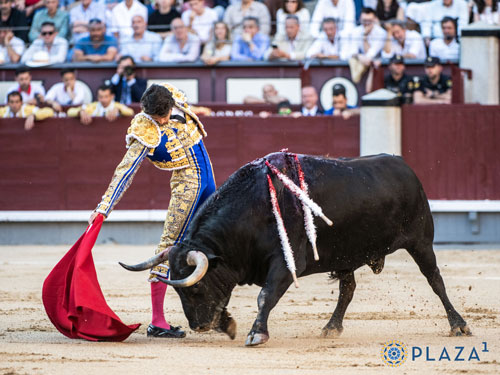 "Cantaor", extraordinario toro de Victoriano