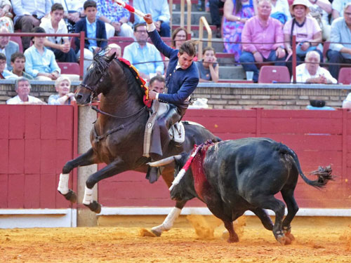 Sebasti&aacute;n Fern&aacute;ndez triunfa en C&oacute;rdoba