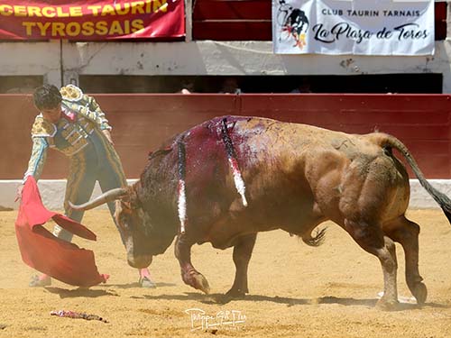 Discreta actuaci&oacute;n de Fonseca en Vic-Fesensac