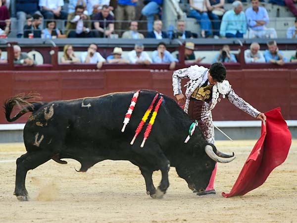 Jarocho se gusta y salva la tarde