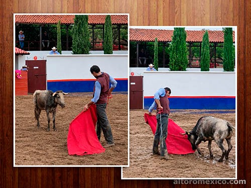 Noticias en corto...