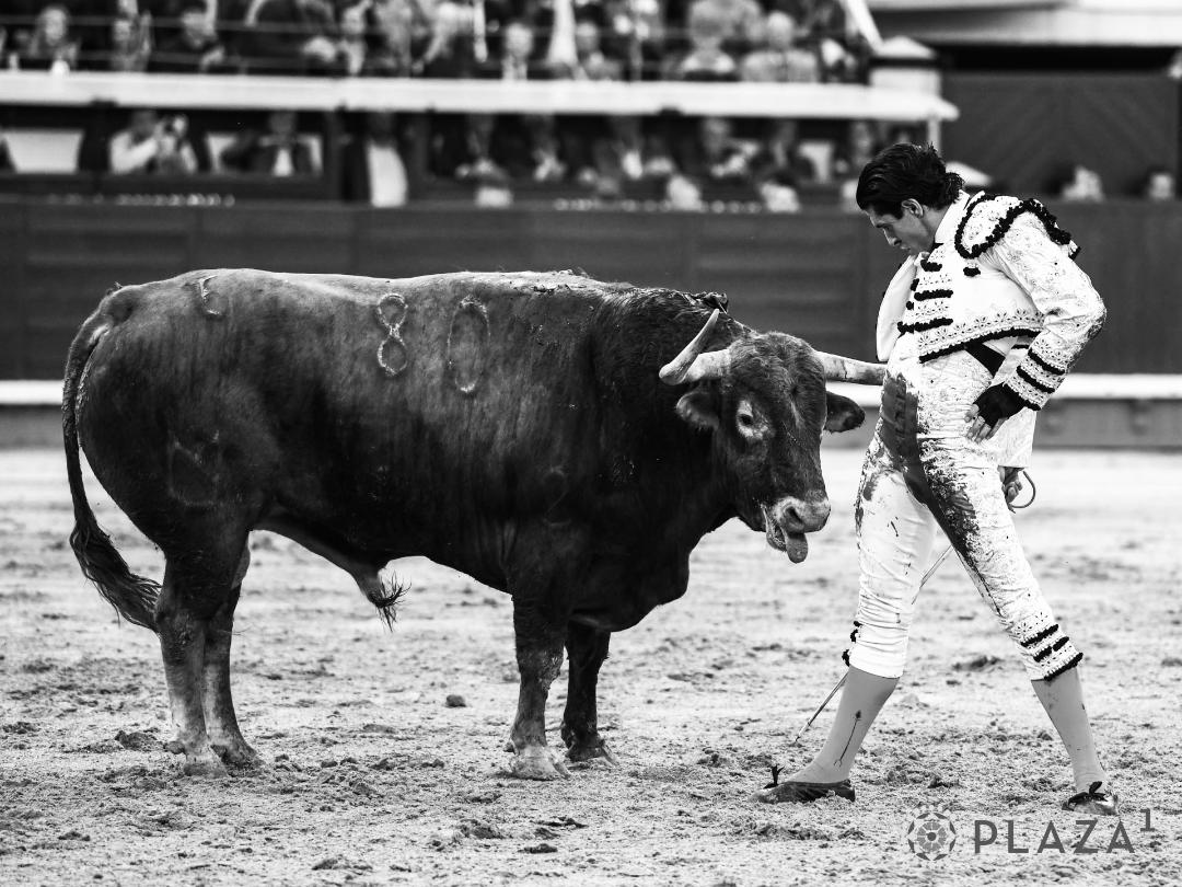En contra de la faena &uacute;nica