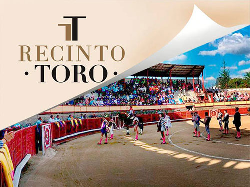 Recinto Toro se queda con la plaza de Navaluenga