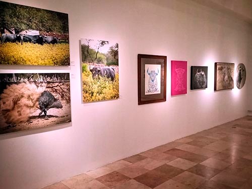 Inauguran exposici&oacute;n en San Luis Potos&iacute;